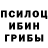 Псилоцибиновые грибы ЛСД ShotgunJimmy
