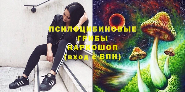 прущий лед Алексеевка
