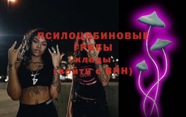 гидра Абаза