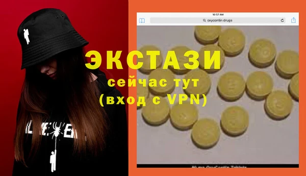 гидра Абаза