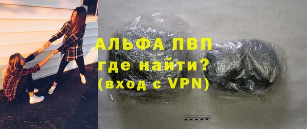гидра Абаза