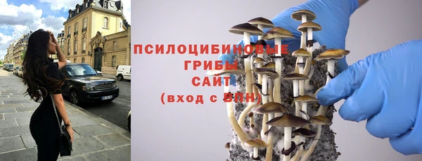 гидра Абаза