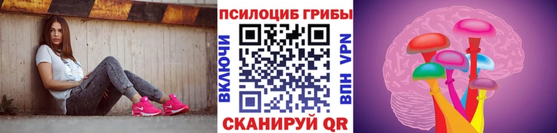 где купить   Кашира  Псилоцибиновые грибы ЛСД 