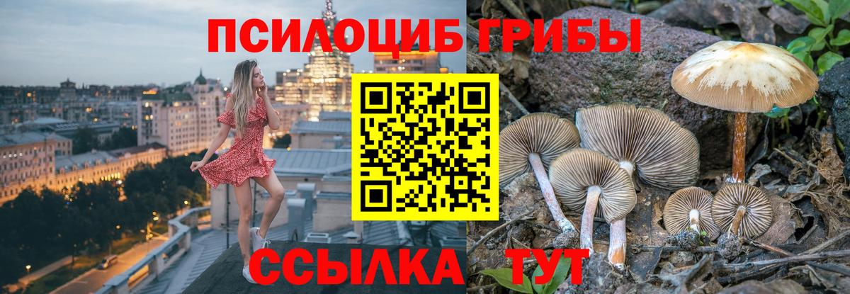 Мефедрон кристаллы  Кокаин  Кашира  Каннабис  Гашиш  ГАШИШ  Лсд 25  Вход с VPN  А ПВП СК кристаллы 