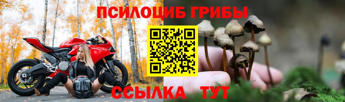 Кашира  Псилоцибиновые грибы GOLDEN TEACHER  Вход с VPN 